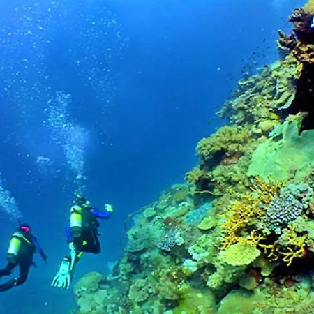 V4, Jardins Branqueira4 Near Beach, *