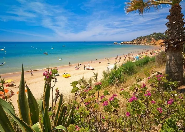 V4, Jardins Branqueira4 Near Beach, Αλμπουφέιρα